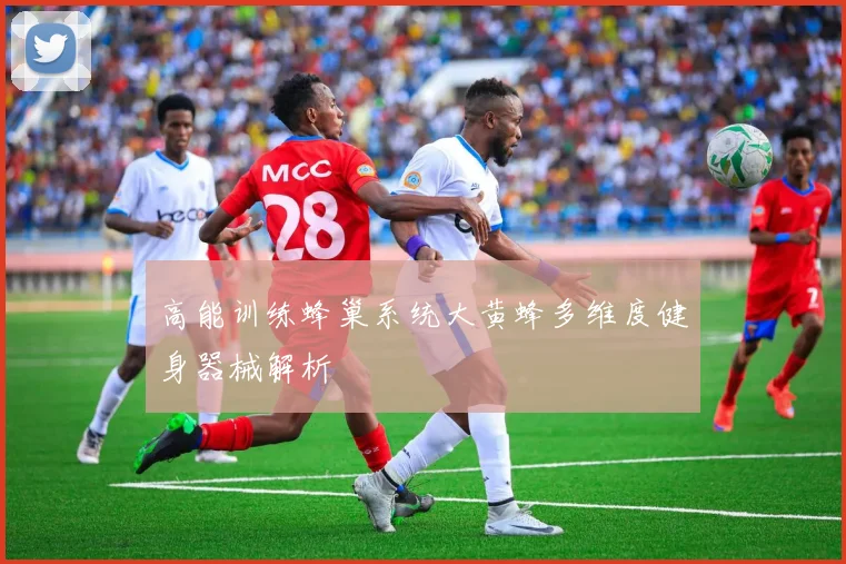 高能训练蜂巢系统大黄蜂多维度健身器械解析