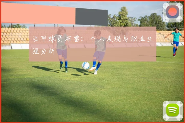 法甲球员布雷：个人表现与职业生涯分析