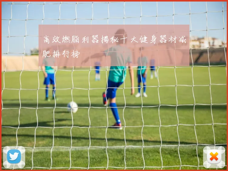 高效燃脂利器揭秘十大健身器材减肥排行榜